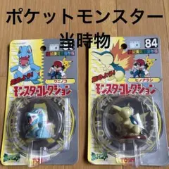 ポケモン モンスターコレクション ワニノコ ヒノアラシ 2体セット ポケモン モンスターコレクション ワニノコ ヒノアラシ 2体セット