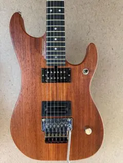 希少！washburn N4 日本製 ハードケース付き - メルカリ