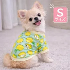 S 犬服　スウェット　レモン柄　水色　フルーツ柄　あったか　小型犬　防寒　お散歩