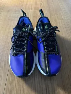 Reebokスニーカー リーボック 紫/黒 Sole Fury tech