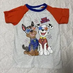 パウパトロール Tシャツ 6サイズ 約120cm 男の子 ラグラン 半袖のサムネイル