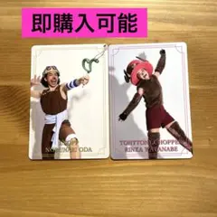 ワンピースオンアイス　スペシャルフォトカード　トレカ　 【会場限定】