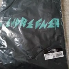 Item thumbnail for item 803cd162-d223-44db-b0b7-abbc05553656