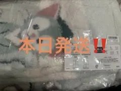 ジェラトーニ ジェラートピケ　ルームウェアセット　ダッフィー＆フレンズ