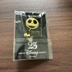 ディズニー　25周年記念 ピンバッジ　非売品
