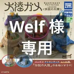 Welf様 リクエスト 2点 まとめ商品