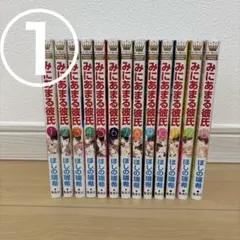 みにあまる彼氏 1〜13巻 全巻セット