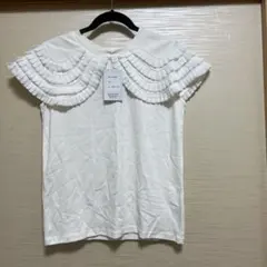 Item thumbnail for item fac6d250-6aaa-4226-a48c-3f903e7e2ba5