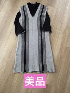 美品　ジーナシス　薄手ニットとニットワンピース　セットアップ