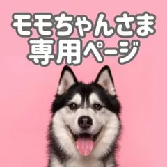 pkウェ*2◯●モモちゃん様専用ページ●◯