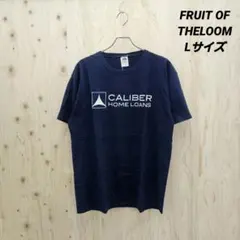 『 FRUITOFTHELOOM (アメリカ古着) 』企業Tシャツ / Lサイズ