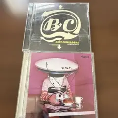 BEAT CRUSADERS FORESIGHTS P.O.A.