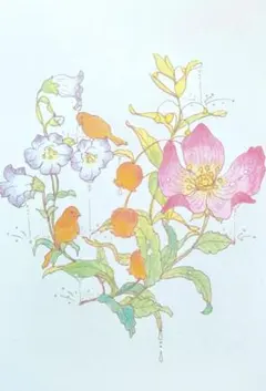 カナリア　草花　イラスト　ハガキ　⚠原画ではありません。