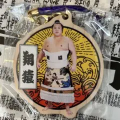 Item thumbnail for item 5e97dbb3-886c-4911-a721-5d6525b2359f