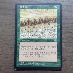 マジック：ザ・ギャザリング 低木林地 - メルカリ