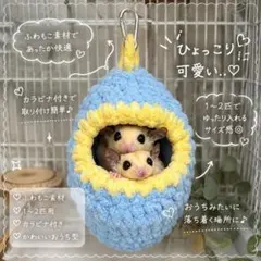 フクロモモンガポーチ もこもこゆったり1匹用 - メルカリ