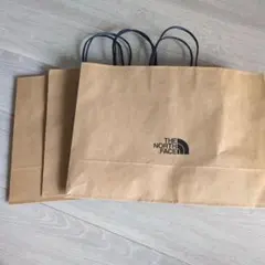 【3枚セット】ザノースフェイス　ショップ紙袋　中