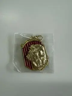 ウィキッド チャームコレクション　ライオン