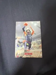 Item thumbnail for item 33388ce3-dce5-4205-9573-affa8c0d82d6