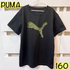 PUMA/メッシュtシャツ/黒160cm