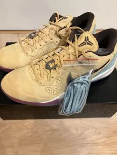 Nike Kobe 8 Protro 