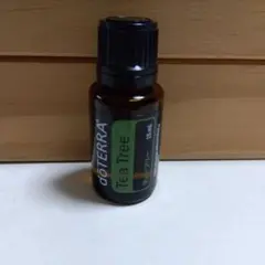 【新品】ドテラ　ジンジャー　ユーカリプタス　ティーツリー 新品】ドテラ ジンジャー ユーカリプタス ティーツリー ティー