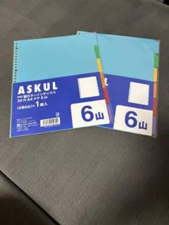 ASKUL PP製カラーインデックス A4 30穴 6色 6冊入　2セット