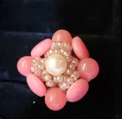 ANNA SUI 樹脂製リング