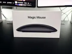  Magic Mouse 2 - スペースグレイ 中古