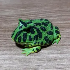 海洋堂 ビックツノカエル フィギュア