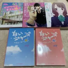 携帯小説　野いちご　まとめ売り