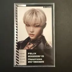 Stray Kids フィリックス ODDINARY 封入トレカ IDカード - メルカリ