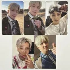 SEVENTEEN Face the sun ウォヌ トレカ