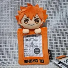 ハイキュー!! みにコレ！ぬいぐるみカードホルダー　日向翔陽