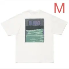 Item thumbnail for item 0b3d78e4-78e2-4854-ac92-1fbd03d47634