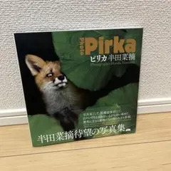 ピリカ　半田菜摘