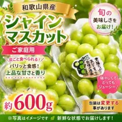 お盆セールなくなり次第終了 岡山県産シャインマスカット5房 化粧箱訳