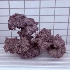 水槽 擬岩 ライブロックモジュールC レッドシー レイアウトオブジェ