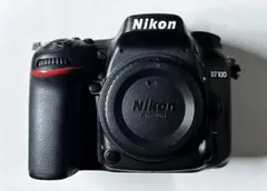 Item thumbnail for item 3dbe1d18-0155-4306-a676-663fe551a040