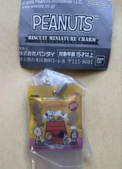 PEANUTS スヌーピービスケットミニチュアチャームスタンドパックガチャ