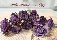 ギュスターヴ11号様 リクエスト 3点 おまとめ商品ご専用ページで御座います