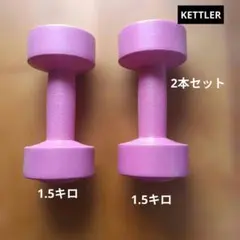 XYSTUS】 ダンベル 0.5kg ピンク 2個セット 未使用に近い - メルカリ