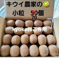 kyoko様ご専用　キウイフルーツ　ヘイワード　小粒70個