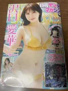 月刊ヤングマガジン　沢口愛華のサムネイル