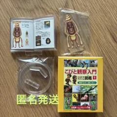 モルリン♡様 リクエスト 2点 まとめ商品