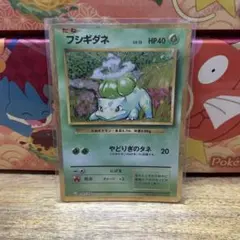 ポケモンカード　Classic フシギダネクラシック