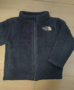 ザノースフェイス 100