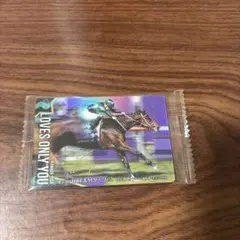 サラブレッドホースコレクション　ラヴズオンリーユー　サイン付き　箔つき