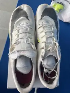 NIKE マックスフライ　27.0