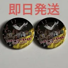 阪神タイガース　イチオシ缶バッジ　2025JERAセ・リーグ優勝記念